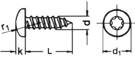 Pan Six Lobe Drive Self Tapping Screw With Type C Points