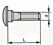 Carriage Bolts